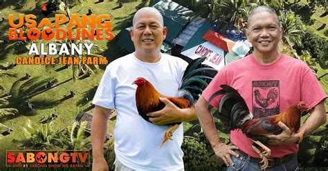 candice jean gamefarm|Usapang Bloodlines: Murphy White Hackle Charlie Cruz of .